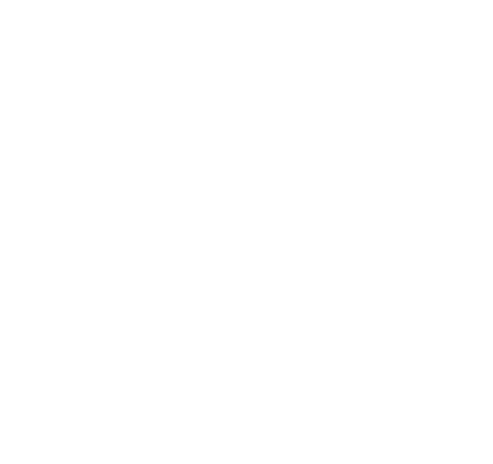 cropped Barbeque Spice Logo copy 1